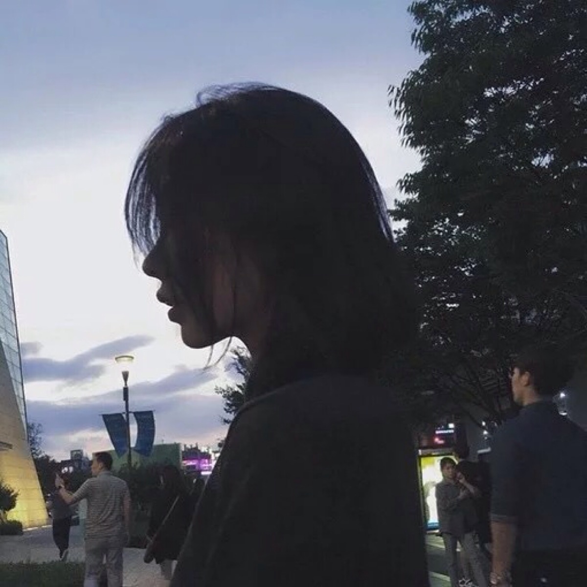 谷田部胜义 - 悬疑剧集完整在线观看 - 网络直播